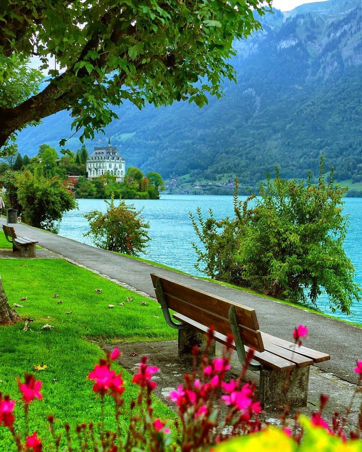 natur city