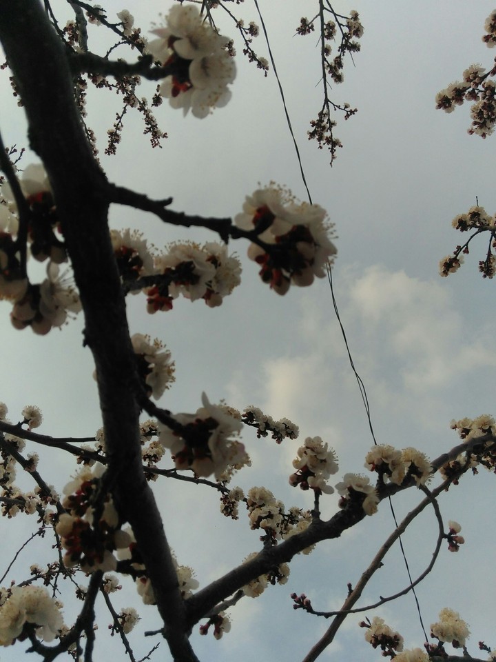İlkbahar