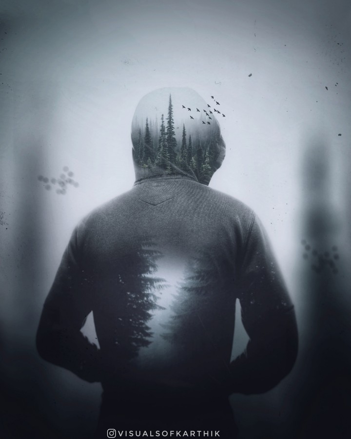 in to the Woods Double Exposure
