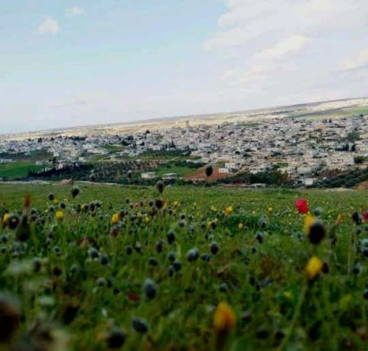بلدي غالي