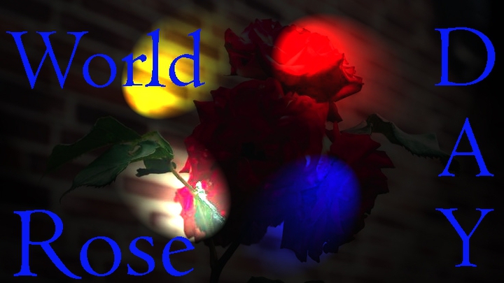 rose day