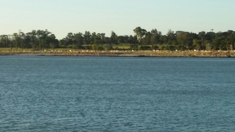 Mar y golf