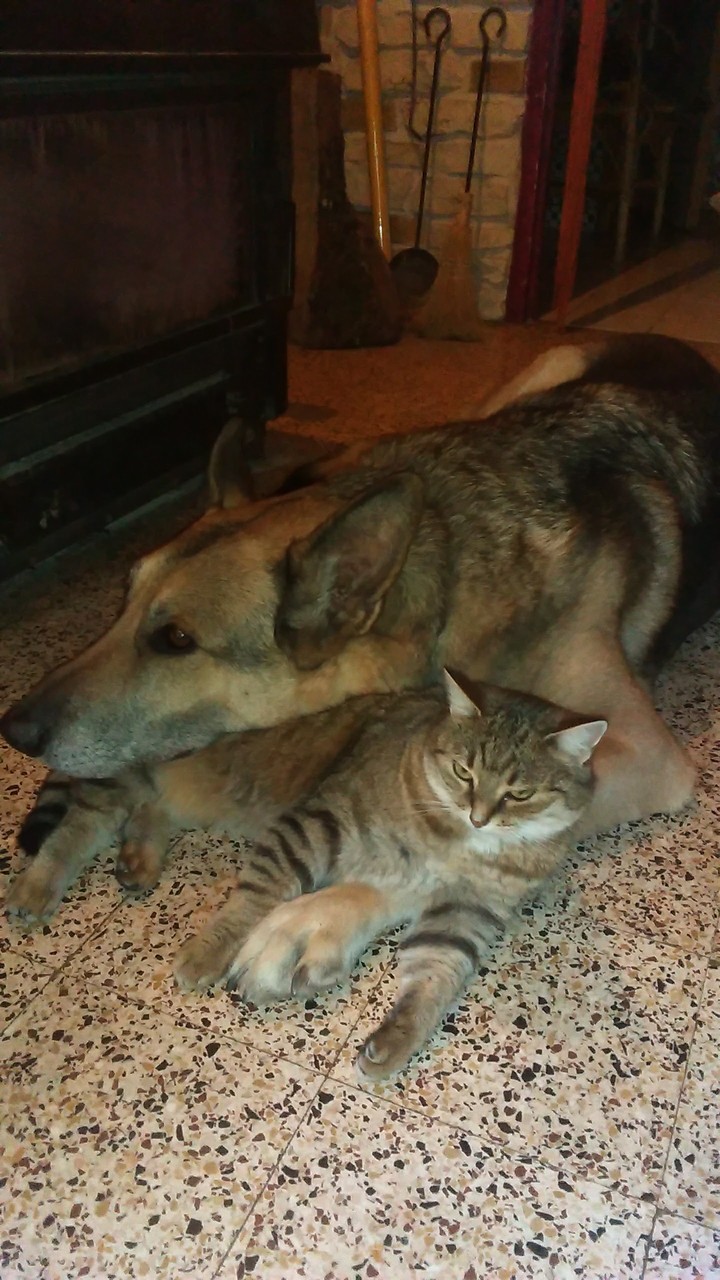 complicité
