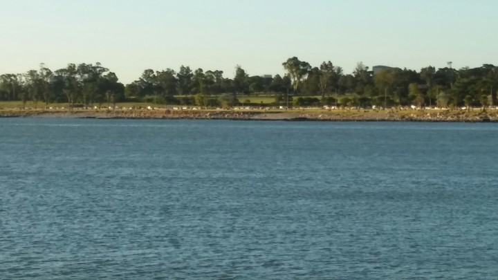 Mar y golf