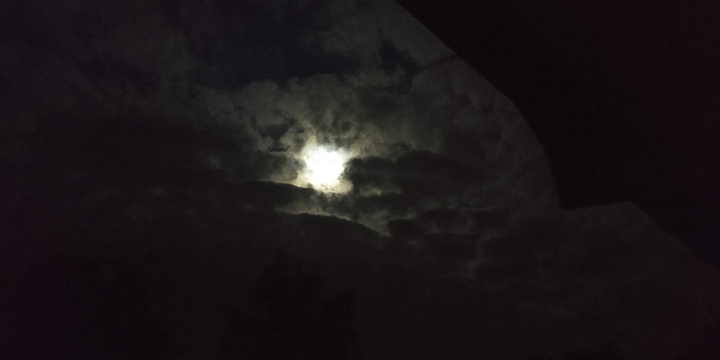 I love you to the moon and back i never heard this...