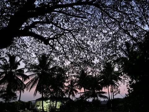 Light after Sunset