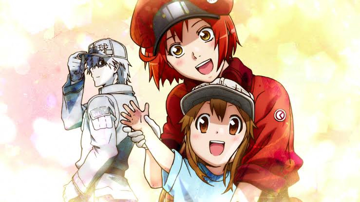 Cells at work