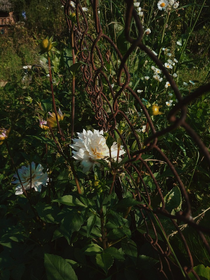 ??