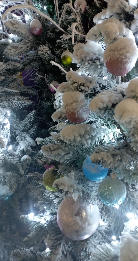 רקעים reef, tree