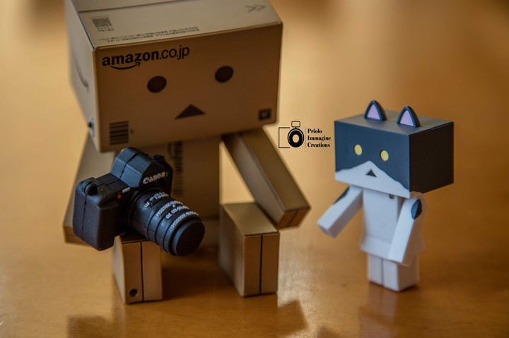Anniversary of photography