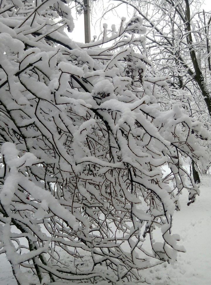 winter