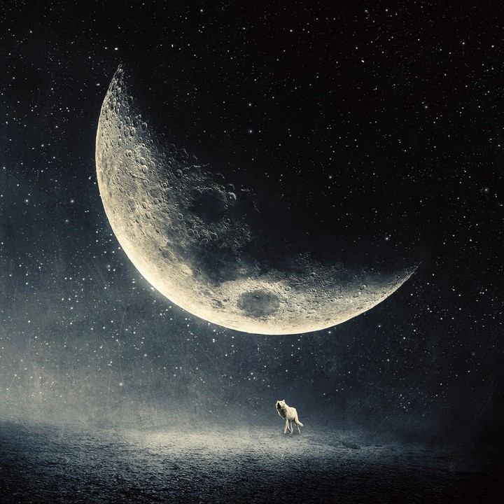 MOON
