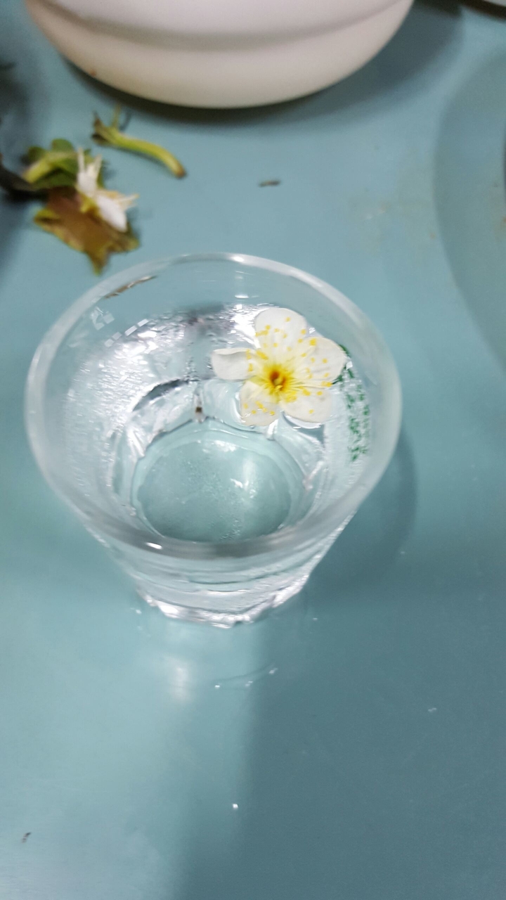 매화