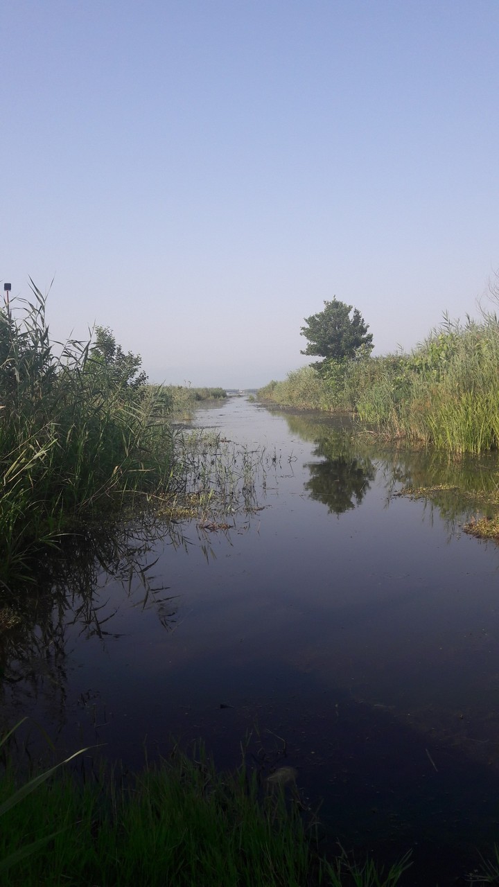 lake
