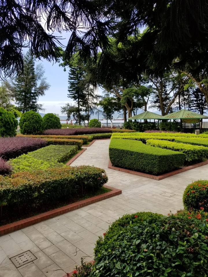Chinese garden