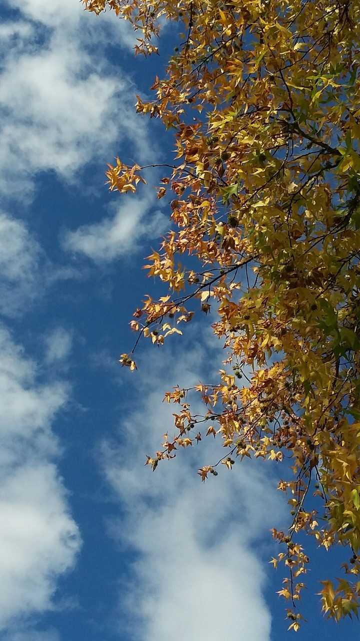 up