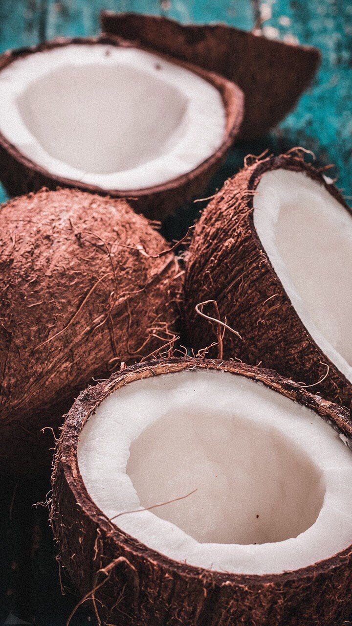 coconut