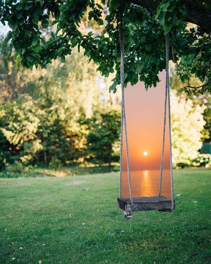 "swing portal" @campbellcollage