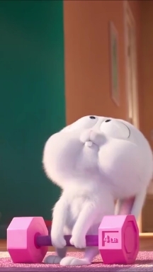 cute rabbit