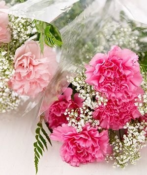 Flower Bouquet▪Carnations