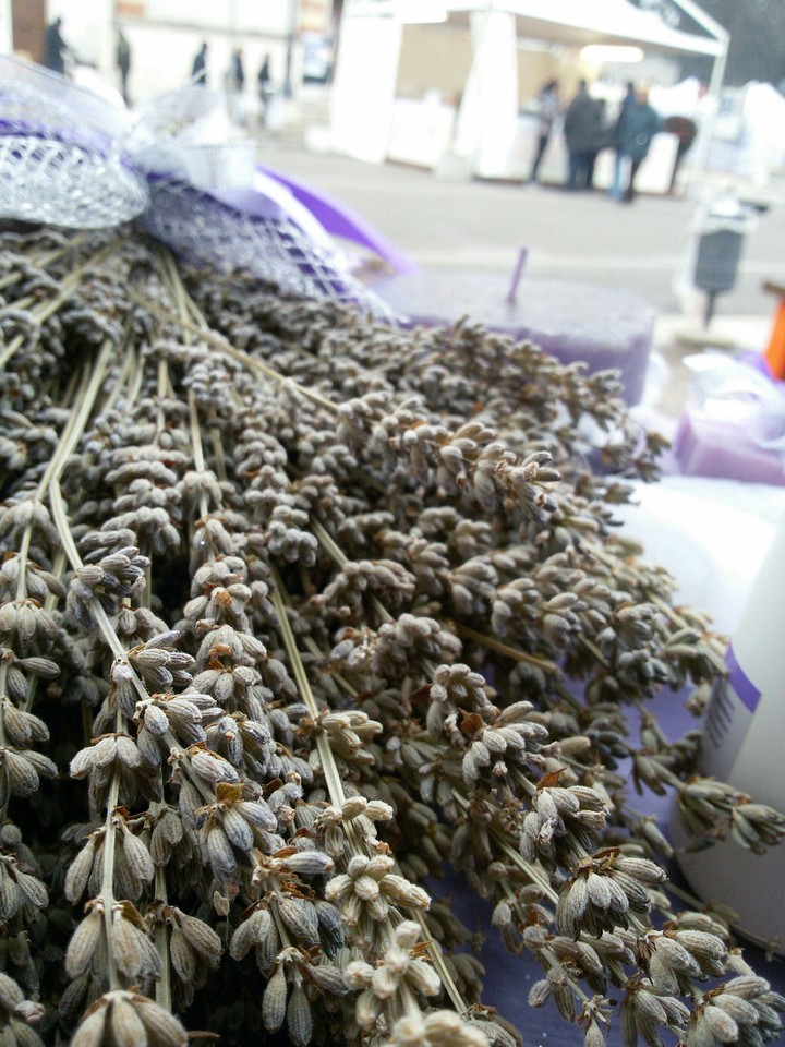 lavanda
