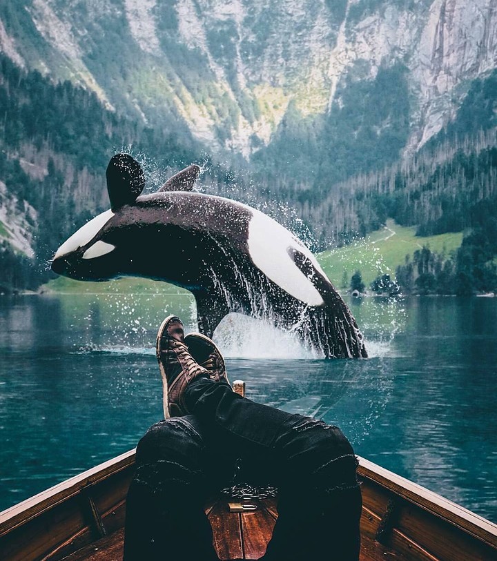 .