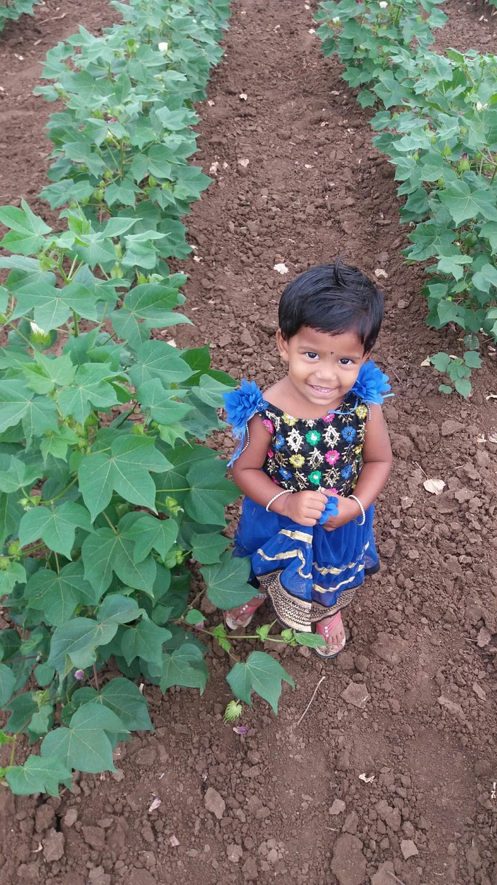 nadhu
