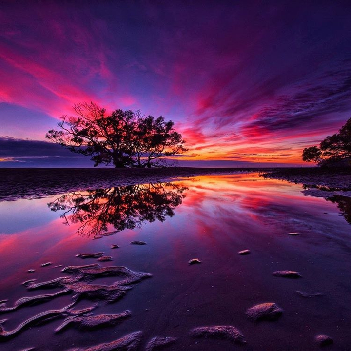 sunset