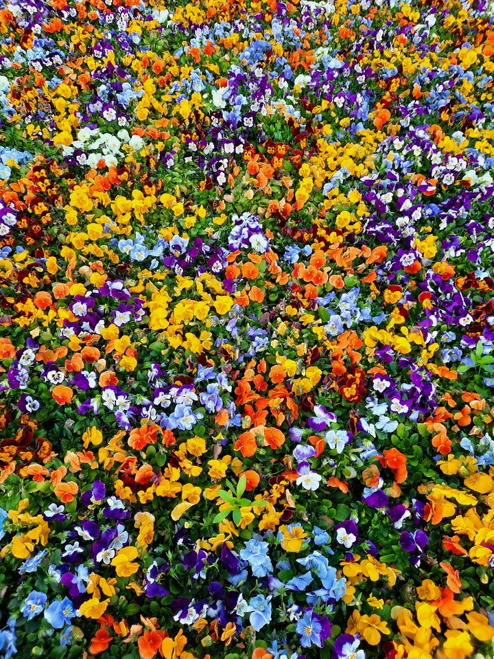colourful