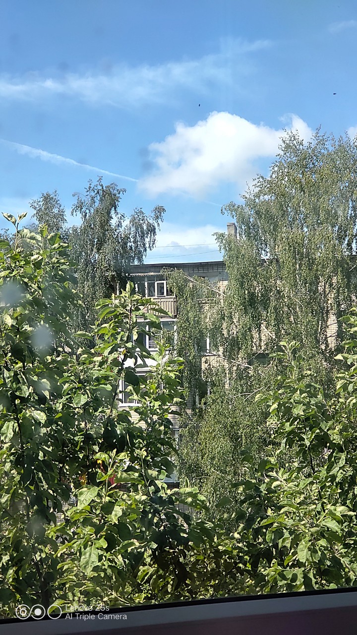лес
