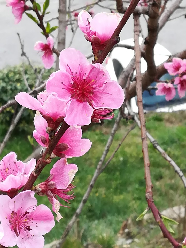 Spring ?