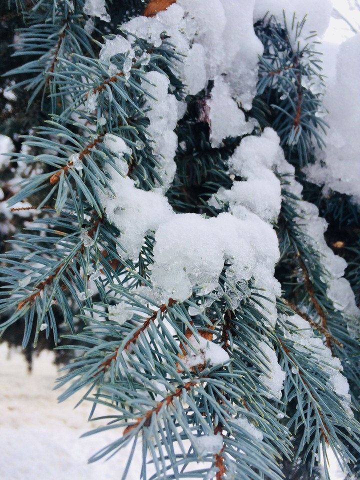 ❄️