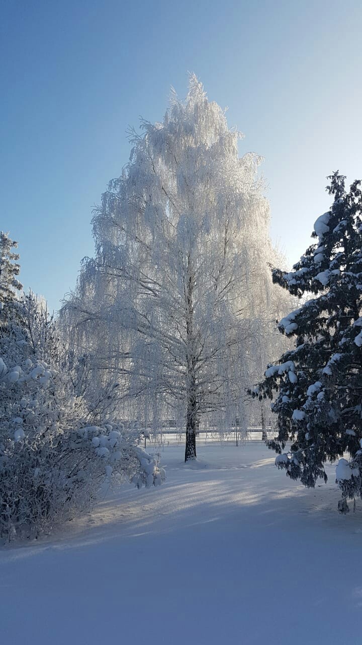 Зима