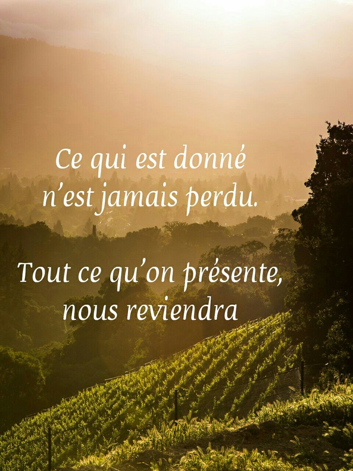 Quotes _ Donner