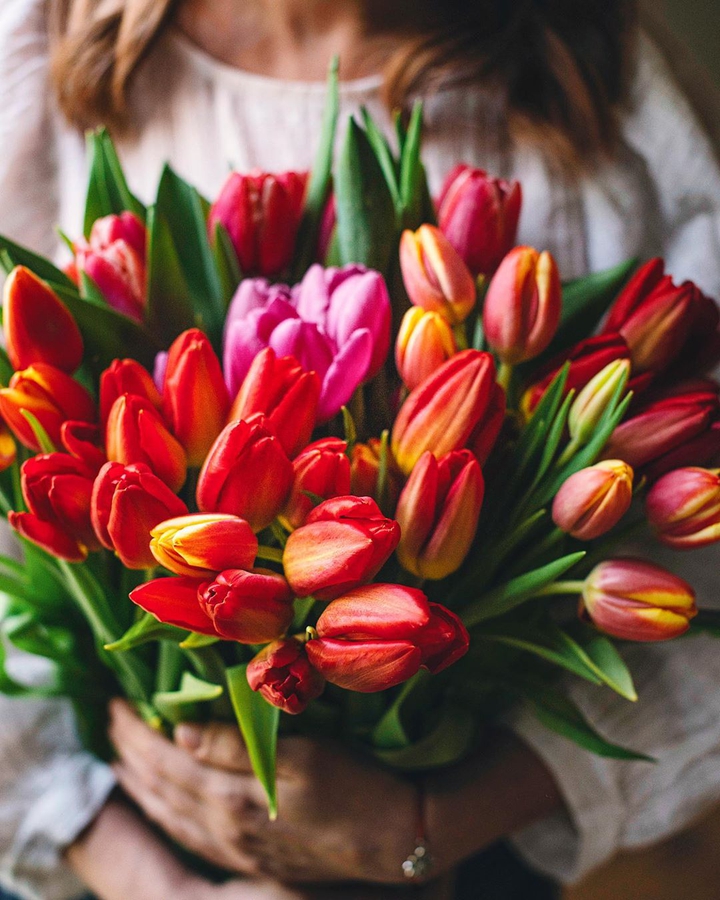 Tulips ❤️