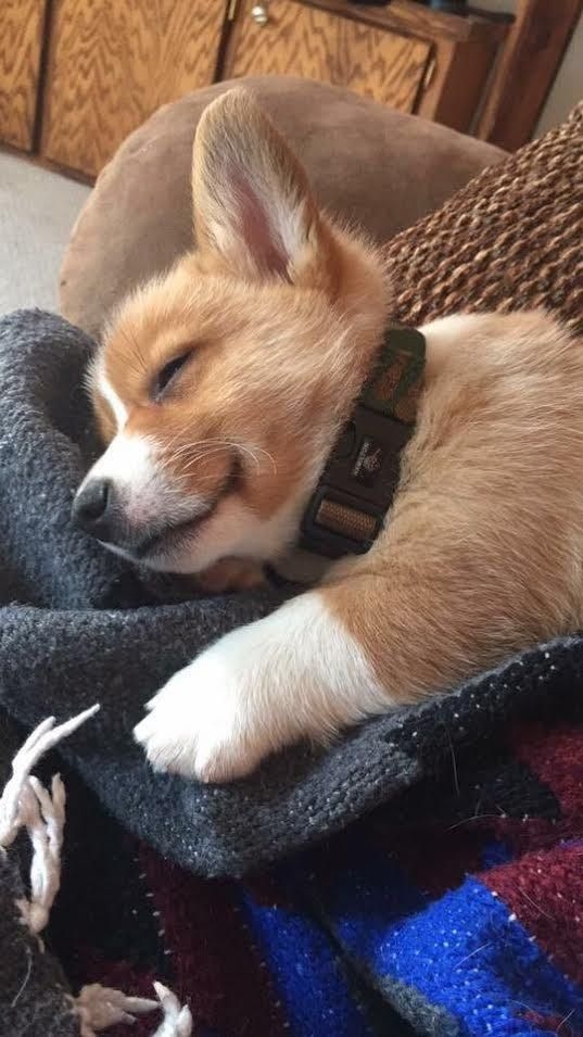 cutie!