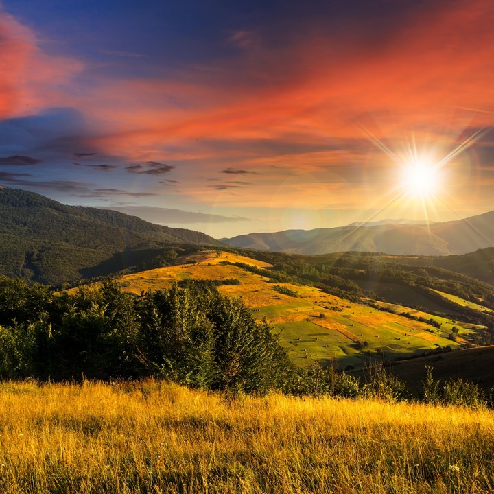 Nature 