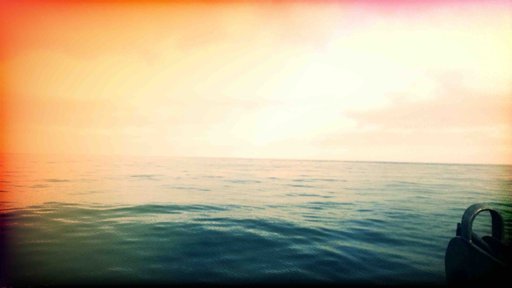 Ocean Life