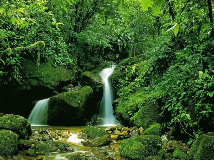 Natura