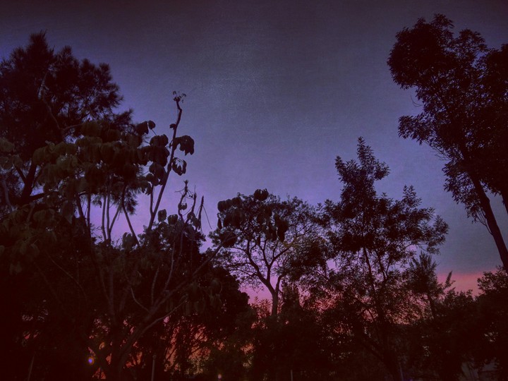 Wonders of Nature