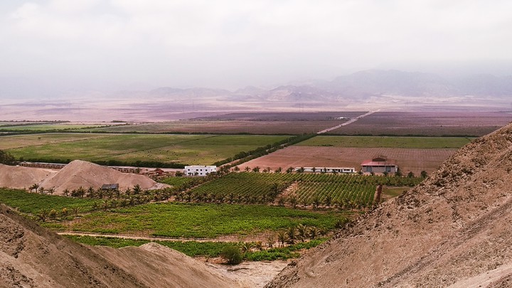 Agricultura y Desierto