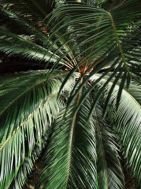 *green