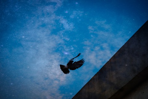 landing..