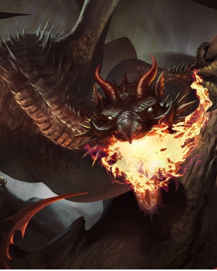 fire dragon