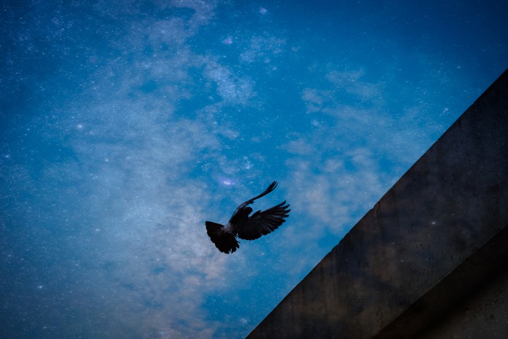 landing..
