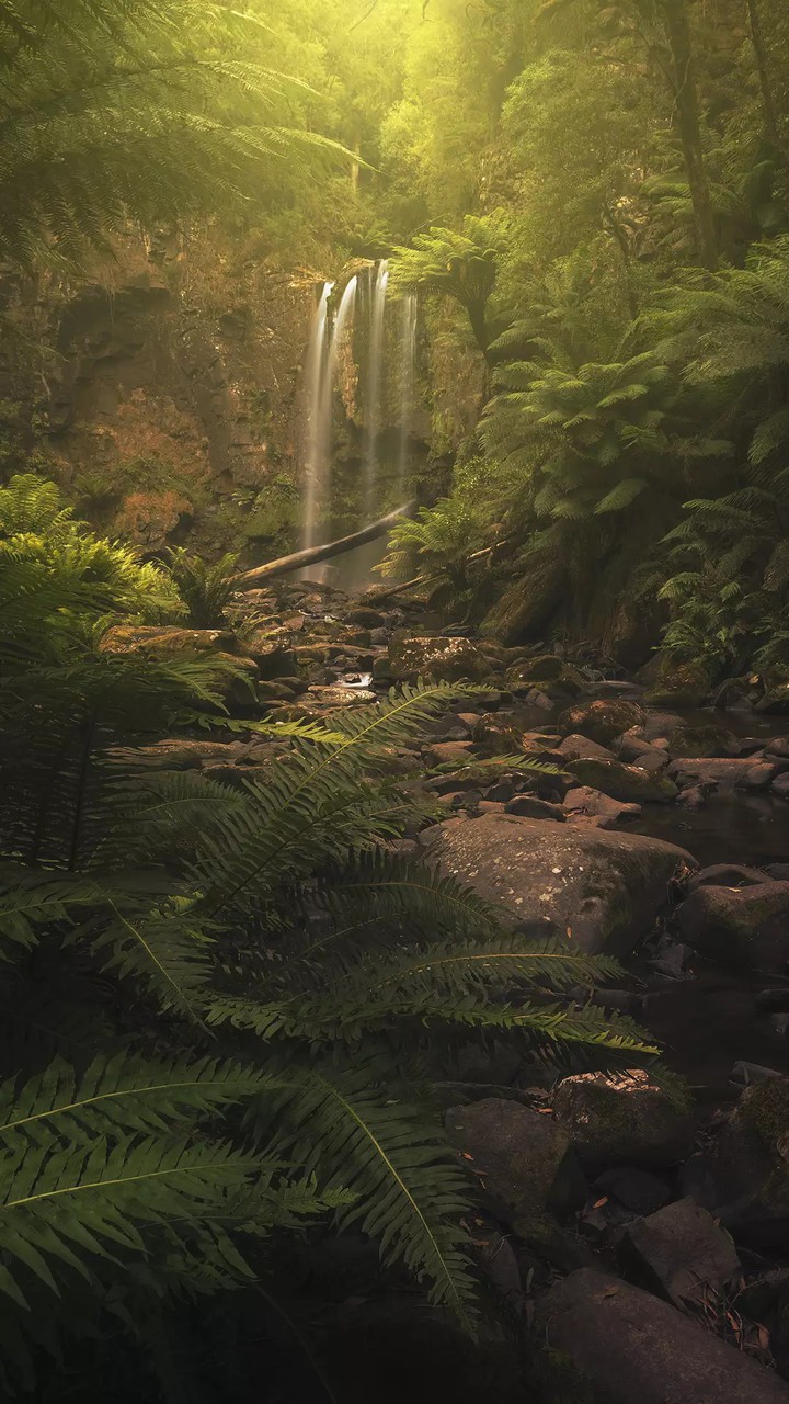 nature