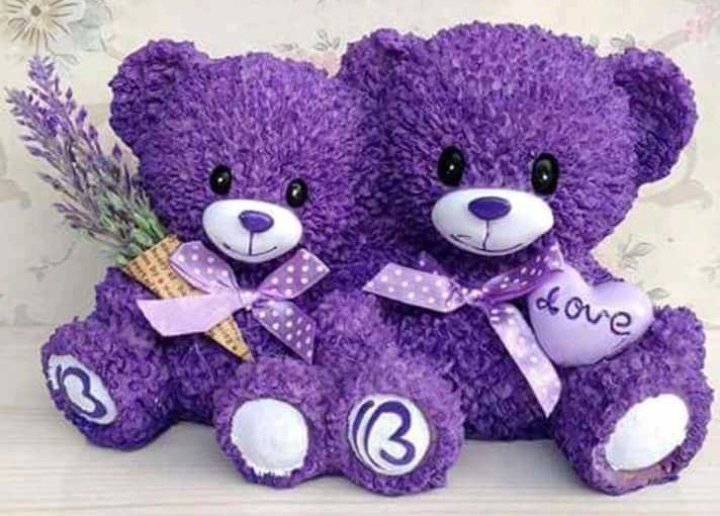 purple teddy