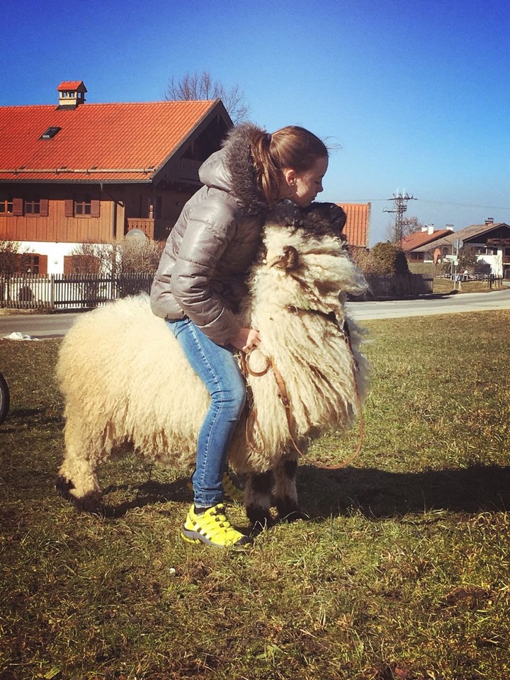 love