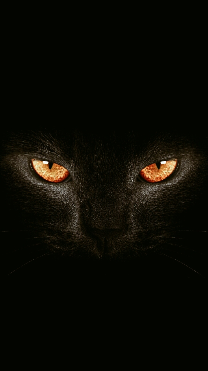 Fahad