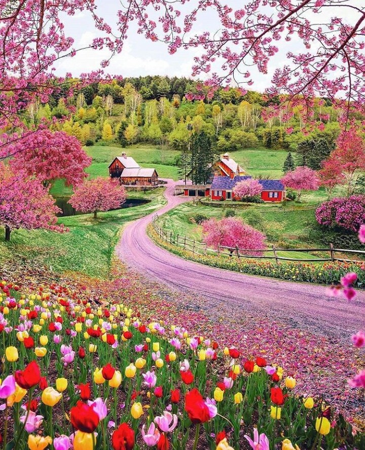spring